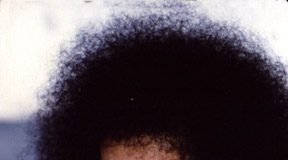 Mensaje de la pizarra de Prashanti Nilayam del día 18 de mayo de 2020