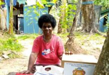 Ayuda humanitaria tras la erupción volcánica en Tonga, Fiji