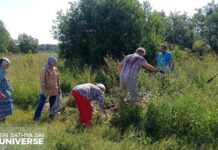 Recogida de basura en la Zona 8
