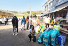 Adultos Jóvenes prestan servicio en un refugio para animales