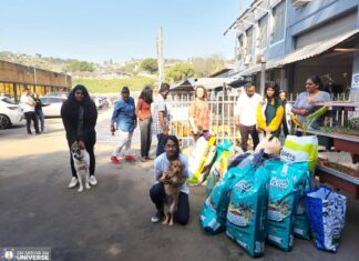 Adultos Jóvenes prestan servicio en un refugio para animales