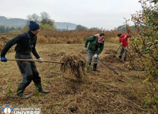 Siega de humedales en la República Checa